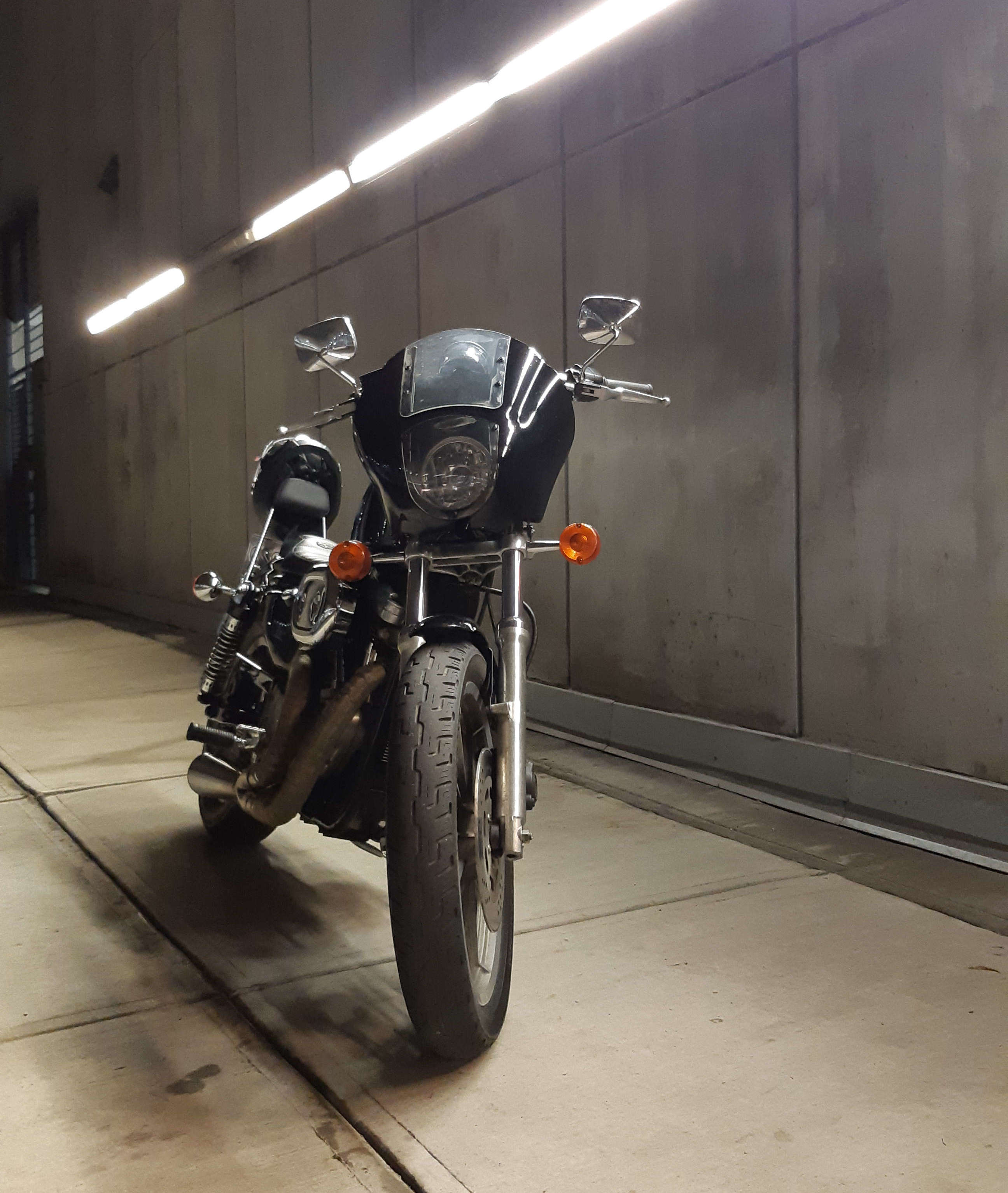 Gnarly Davidson